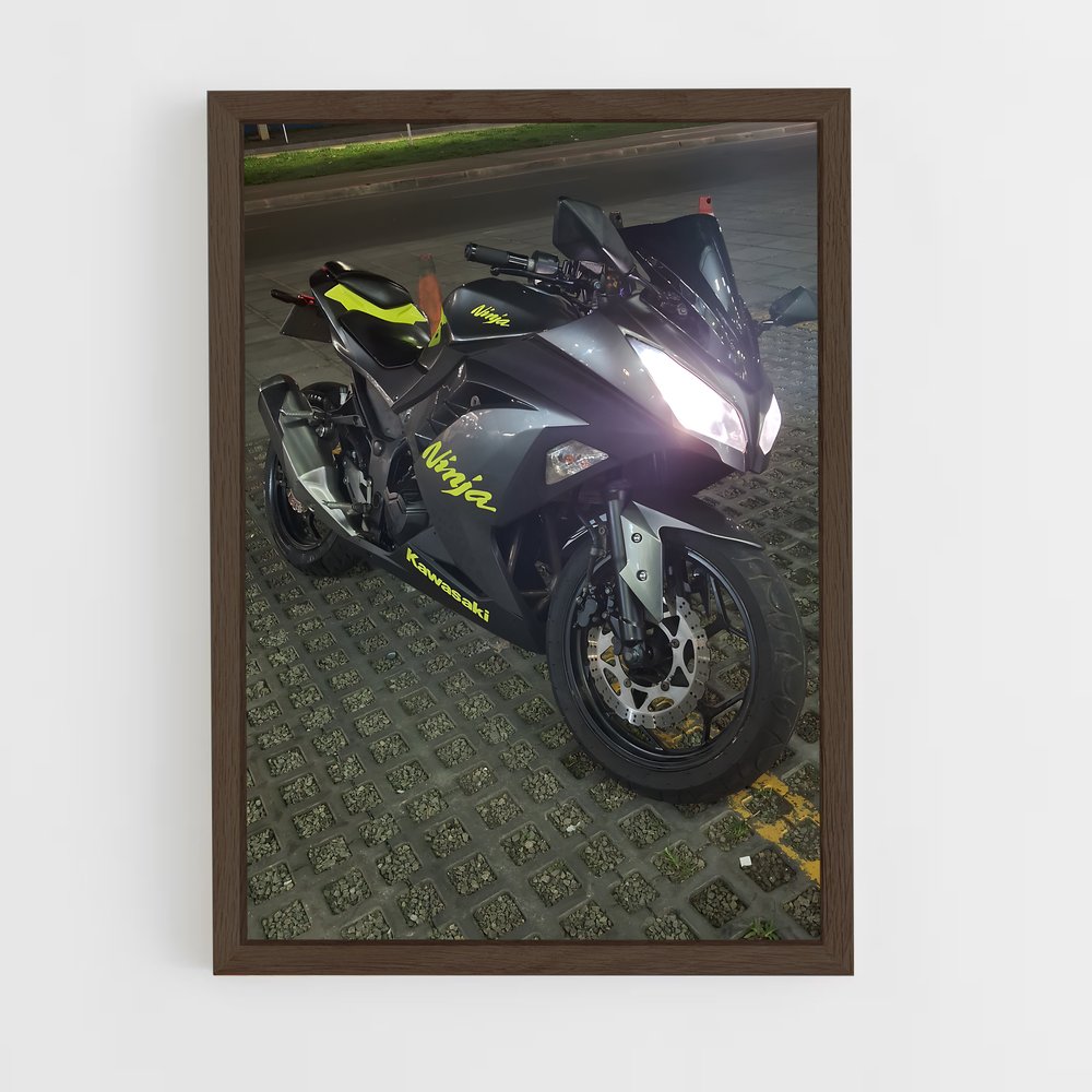 Poster Nuit de Moto (vue 5)